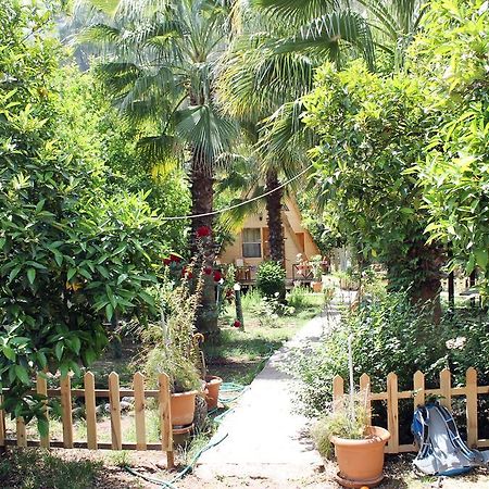 Oran Pansiyon Agac Evler Hotell Çıralı Eksteriør bilde