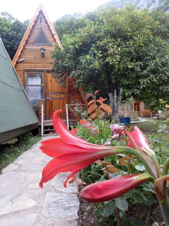 Oran Pansiyon Agac Evler Hotell Çıralı Eksteriør bilde